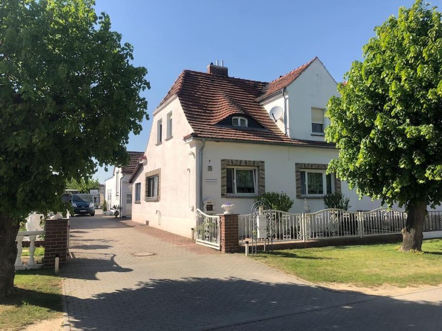 Cozy Unterkunft Im Spreewald Nahe Tropical Islands Appartement Golßen Buitenkant foto